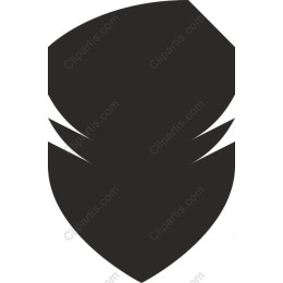 Dynamic Shield