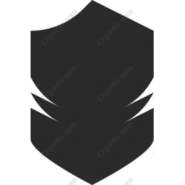  Shield Graphic