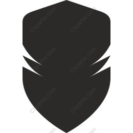 Sleek Shield