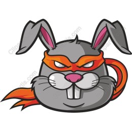 Ninja Bunny