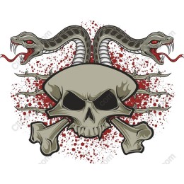 Venomous Skull & Serpents