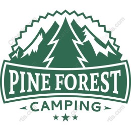 Pine Forest Camping