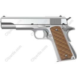 Silver Handgun
