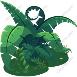 Tropical Foliage