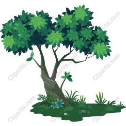Lush Green Tree