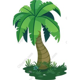 Tropical Palm Tree