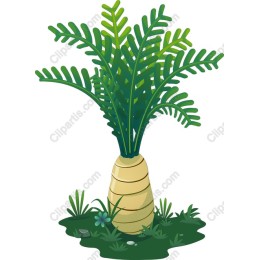 Tropical Plant