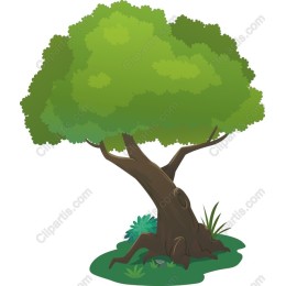 Lush Green Tree