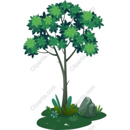 Lush Green Tree