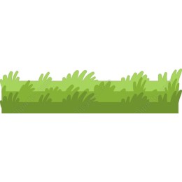 Eye-Catching Green Grass
