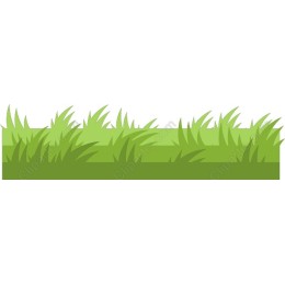 Lush Green Grass