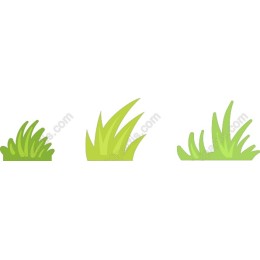Lush Green Grass Set