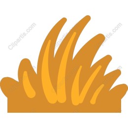 Golden Grass
