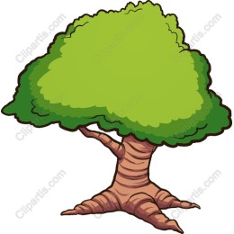 Lush Green Tree