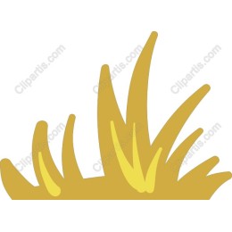 Golden Grass