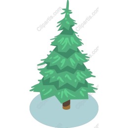 Evergreen Tree