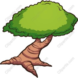 Lush Green Tree
