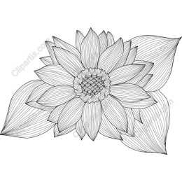 Elegant Flower