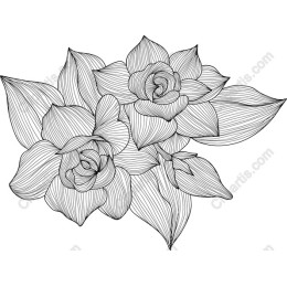 Elegant Floral Line Art - Roses & Leaves