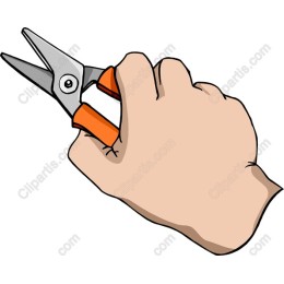 Hand Holding Scissors