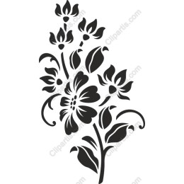 Floral Elegance