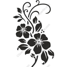 Exquisite Floral