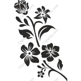 Floral Elegance
