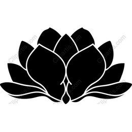 Lotus Blossom