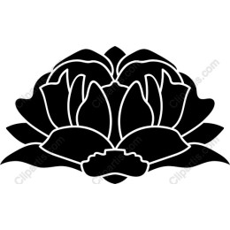 Elegant Black and White Lotus Flower