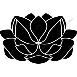 Lotus Blossom