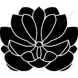 Elegant Black Lotus Flower