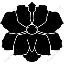 Elegant Black Floral