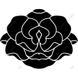 Elegant Black Rose