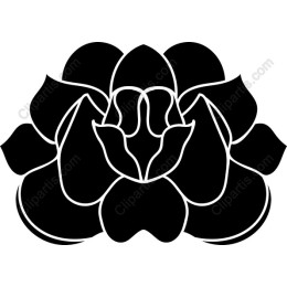 Black Lotus Flower