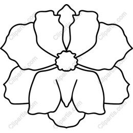 Elegant Floral Line Art