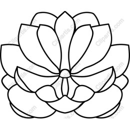 Lotus Flower