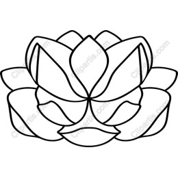 Lotus Flower