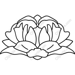 Lotus Flower