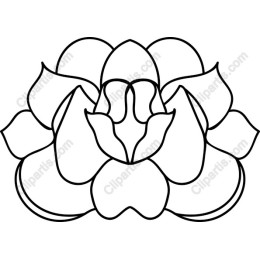 Lotus Blossom
