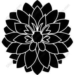 Elegant Dahlia Floral