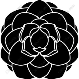 Black Succulent