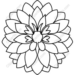 Elegant Dahlia Flower