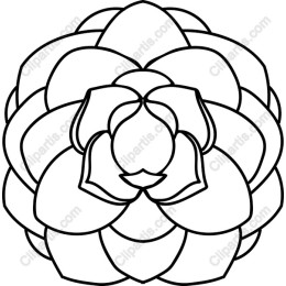 Elegant Succulent Flower