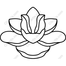 Elegant Lotus Flower