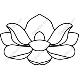Lotus Flower