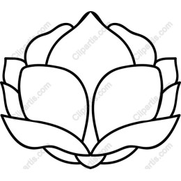 Lotus Flower