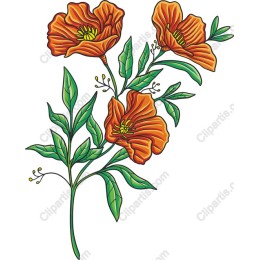 Vibrant Orange Floral