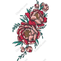 Peony Floral