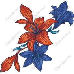 Vibrant Orange and Blue Floral