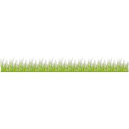 Vibrant Green Grass